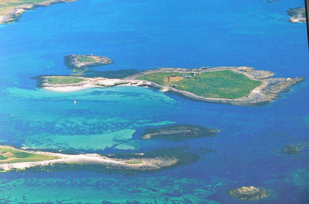 Votre Vue, La Mer, Les Bateaux !!! Wir Sprechen Flieben Deutsch, Touristentipps, We Speak English Конкарно Екстериор снимка